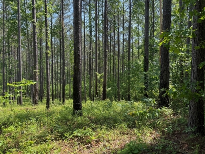 Heiberger Sportsman Club featuring an amazing lake, and much more - image 25
