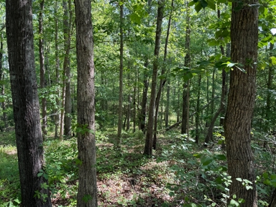 Heiberger Sportsman Club featuring an amazing lake, and much more - image 9