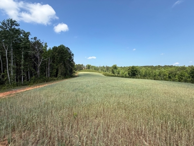 Heiberger Sportsman Club featuring an amazing lake, and much more - image 31