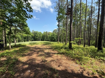 Heiberger Sportsman Club featuring an amazing lake, and much more - image 22