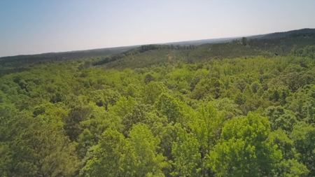 Heiberger Sportsman Club featuring an amazing lake, and much more - image 35