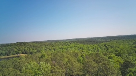 Heiberger Sportsman Club featuring an amazing lake, and much more - image 28