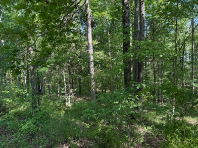 Heiberger Sportsman Club featuring an amazing lake, and much more - image 8