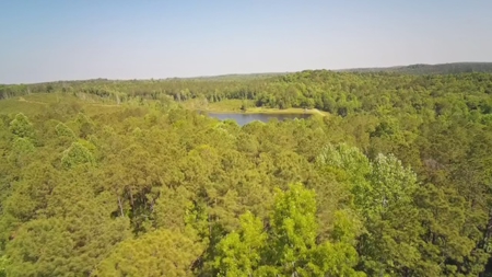 Heiberger Sportsman Club featuring an amazing lake, and much more - image 30