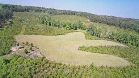 Heiberger Sportsman Club featuring an amazing lake, and much more - image 32