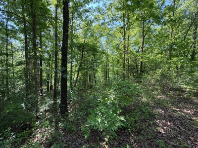 Heiberger Sportsman Club featuring an amazing lake, and much more - image 12