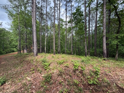 Heiberger Sportsman Club featuring an amazing lake, and much more - image 21