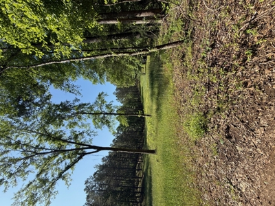 Heiberger Sportsman Club featuring an amazing lake, and much more - image 40