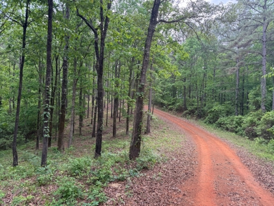 Heiberger Sportsman Club featuring an amazing lake, and much more - image 3