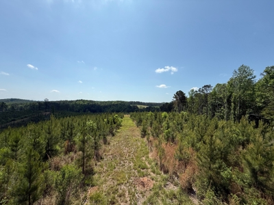 Heiberger Sportsman Club featuring an amazing lake, and much more - image 24
