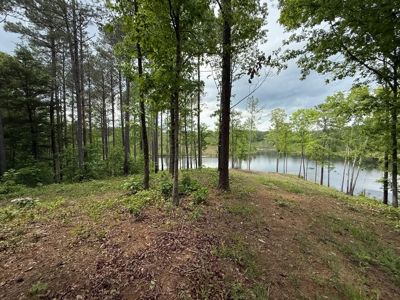 Heiberger Sportsman Club featuring an amazing lake, and much more - image 17