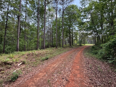 Heiberger Sportsman Club featuring an amazing lake, and much more - image 47