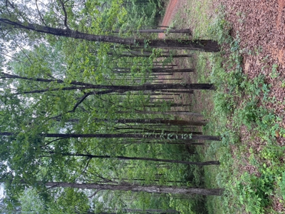 Heiberger Sportsman Club featuring an amazing lake, and much more - image 2