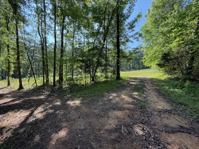 Heiberger Sportsman Club featuring an amazing lake, and much more - image 39