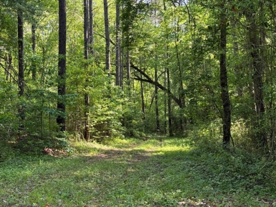 Heiberger Sportsman Club featuring an amazing lake, and much more - image 41