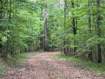Heiberger Sportsman Club featuring an amazing lake, and much more - image 43