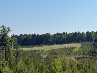 Heiberger Sportsman Club featuring an amazing lake, and much more - image 11