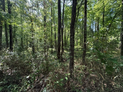 Heiberger Sportsman Club featuring an amazing lake, and much more - image 37