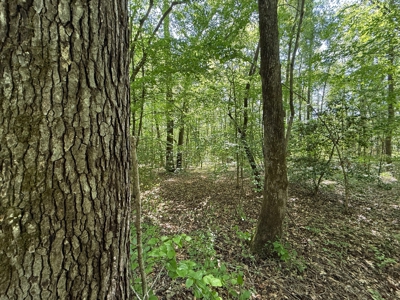 Heiberger Sportsman Club featuring an amazing lake, and much more - image 16