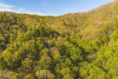 147 Acres of Mountain Land in Unicoi County, Tennessee - image 6