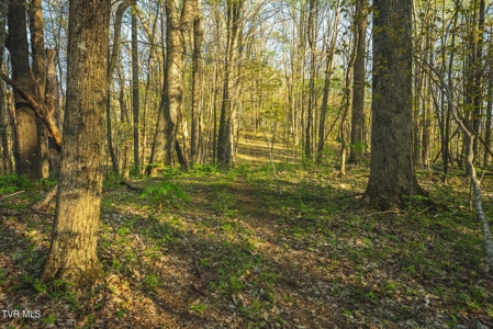 147 Acres of Mountain Land in Unicoi County, Tennessee - image 11