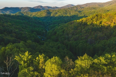147 Acres of Mountain Land in Unicoi County, Tennessee - image 33