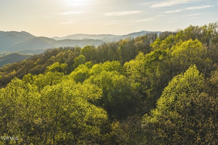 147 Acres of Mountain Land in Unicoi County, Tennessee - image 19