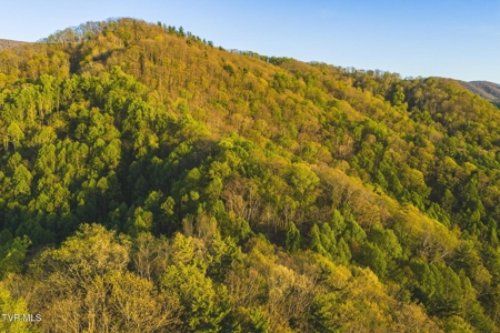 147 Acres of Mountain Land in Unicoi County, Tennessee - image 32