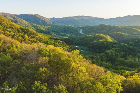 147 Acres of Mountain Land in Unicoi County, Tennessee - image 36