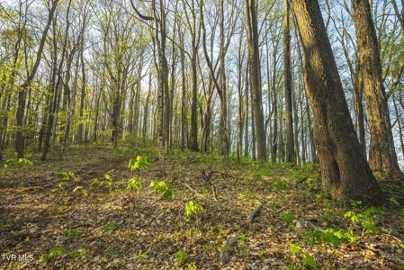 147 Acres of Mountain Land in Unicoi County, Tennessee - image 12