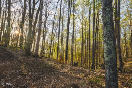 147 Acres of Mountain Land in Unicoi County, Tennessee - image 23