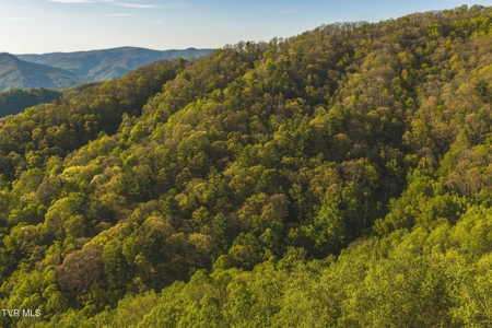 147 Acres of Mountain Land in Unicoi County, Tennessee - image 8