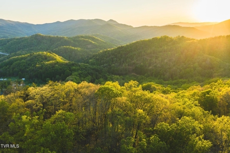147 Acres of Mountain Land in Unicoi County, Tennessee - image 35