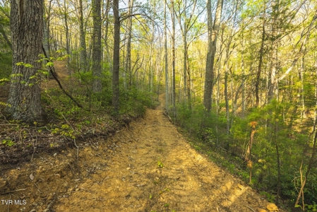 147 Acres of Mountain Land in Unicoi County, Tennessee - image 1