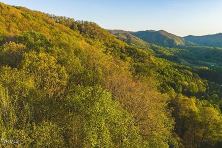 147 Acres of Mountain Land in Unicoi County, Tennessee - image 31