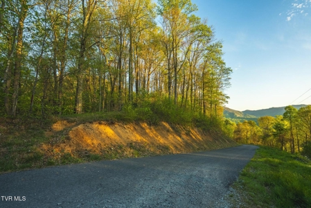 147 Acres of Mountain Land in Unicoi County, Tennessee - image 29