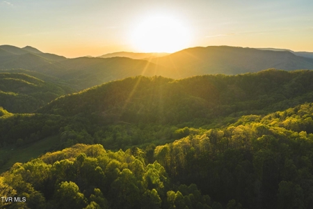 147 Acres of Mountain Land in Unicoi County, Tennessee - image 34