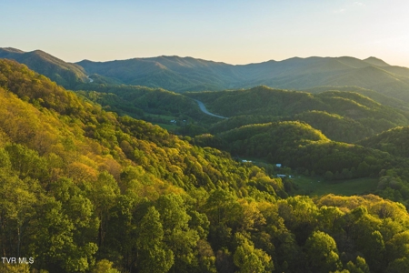 147 Acres of Mountain Land in Unicoi County, Tennessee - image 37