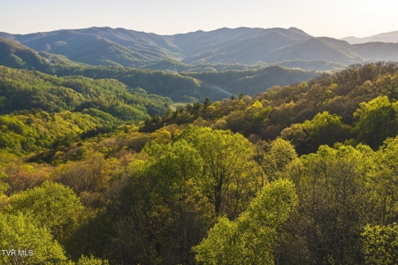 147 Acres of Mountain Land in Unicoi County, Tennessee - image 20