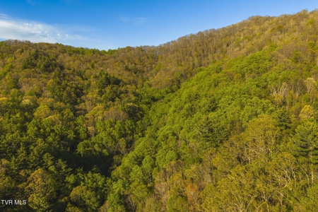 147 Acres of Mountain Land in Unicoi County, Tennessee - image 9