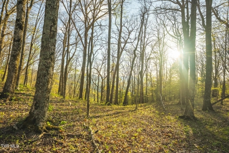 147 Acres of Mountain Land in Unicoi County, Tennessee - image 13