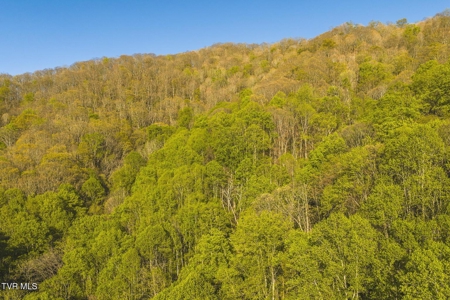 147 Acres of Mountain Land in Unicoi County, Tennessee - image 7