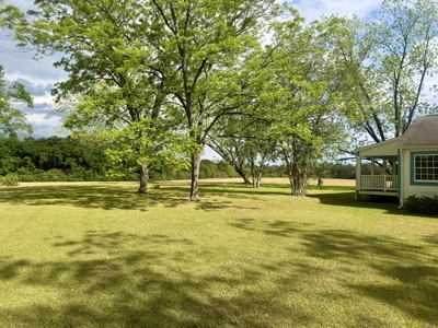 Home for sale on 1- Acre, Geneva County, Hartford, AL - image 3