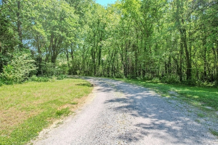 Partial Log Cabin On 5 Acres With Seperate Art Studio And Storage - image 40