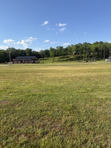 Land for Sale in Wayne County, Tennessee - image 2