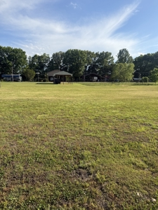 Land for Sale in Wayne County, Tennessee - image 4