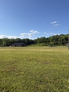 Land for Sale in Wayne County, Tennessee - image 1