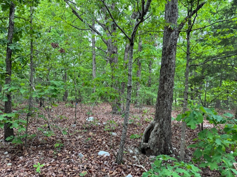 No Caption