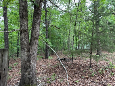 Ozarks Land And Building Site For Sale Near Viola Arkansas - image 16