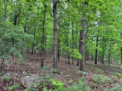 Ozarks Land And Building Site For Sale Near Viola Arkansas - image 2